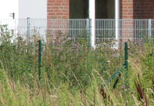 der vorletzte Zaun dieser Auflistung im Neubaugebiet Lüner Heide