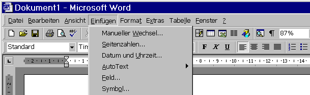 Word-Programmfenster mit Anpassungen